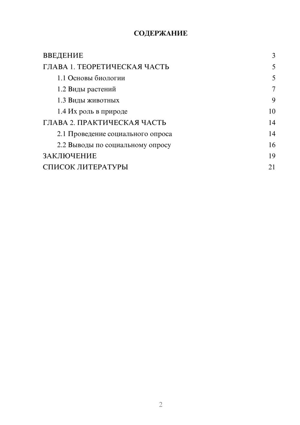 Предпросмотр проекта 2