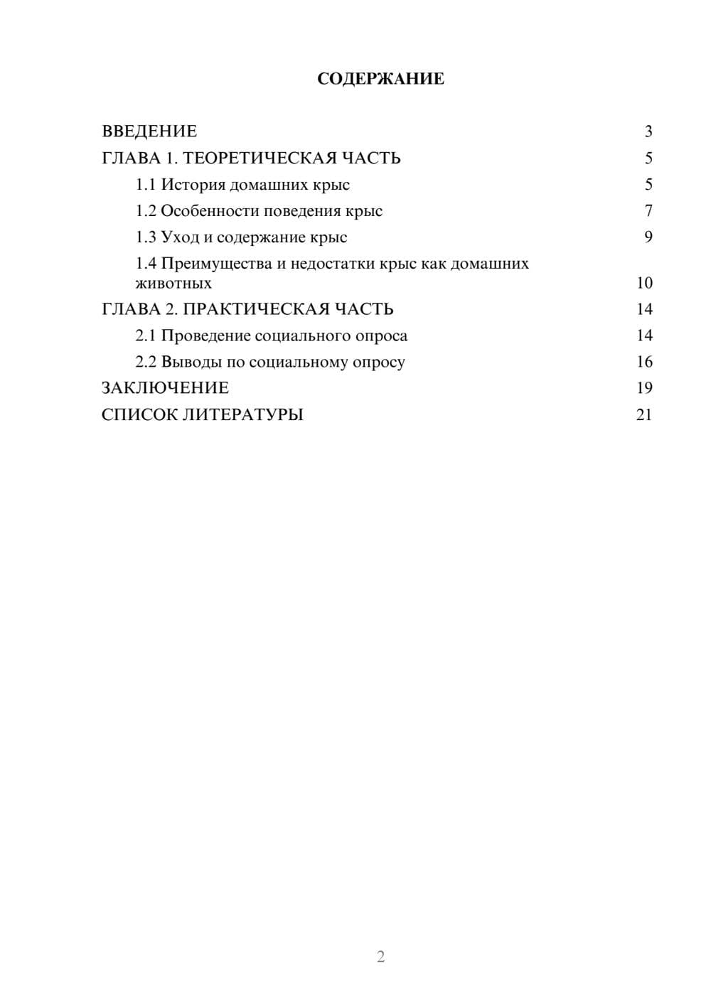 Предпросмотр проекта 2