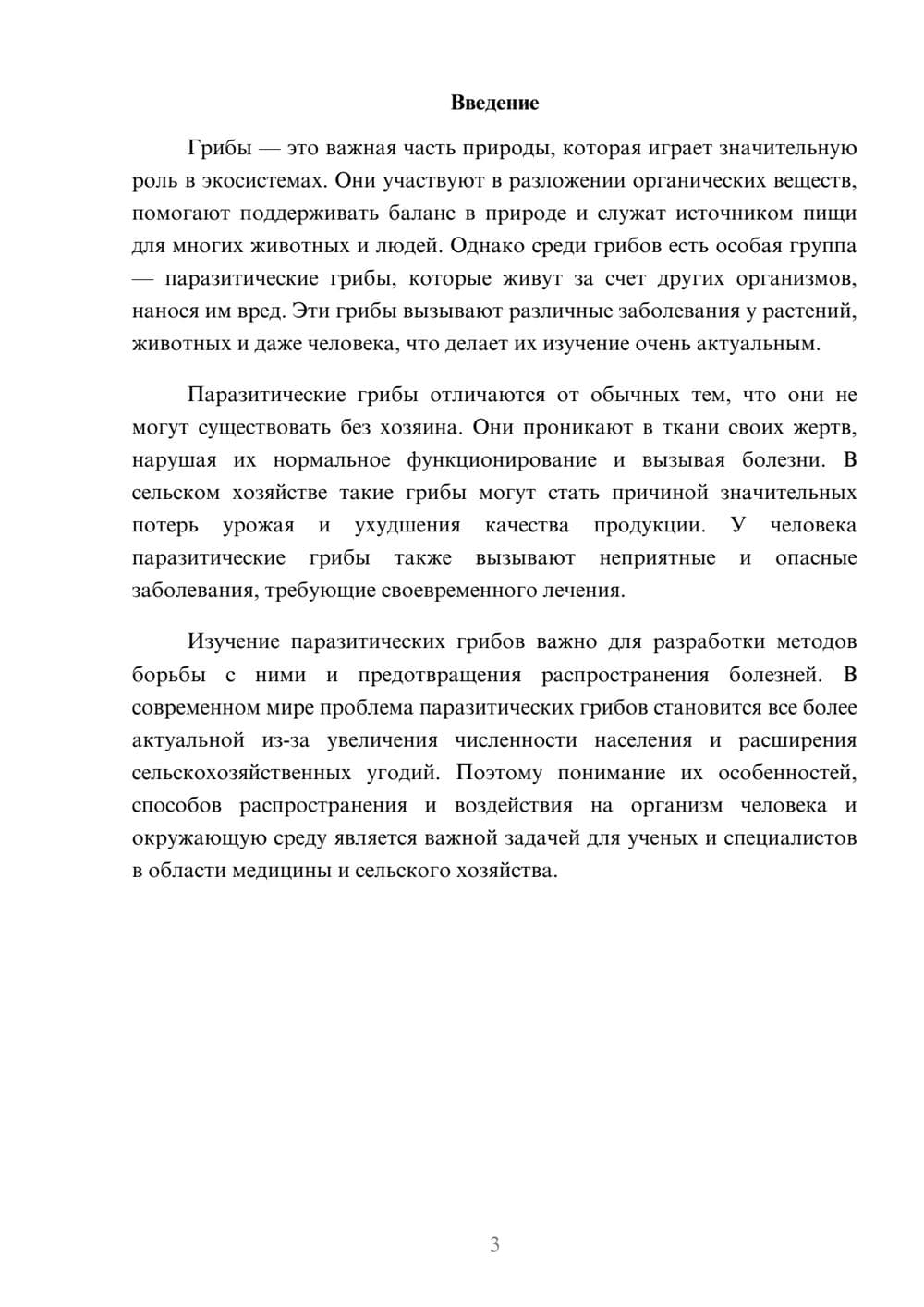 Предпросмотр доклада 3