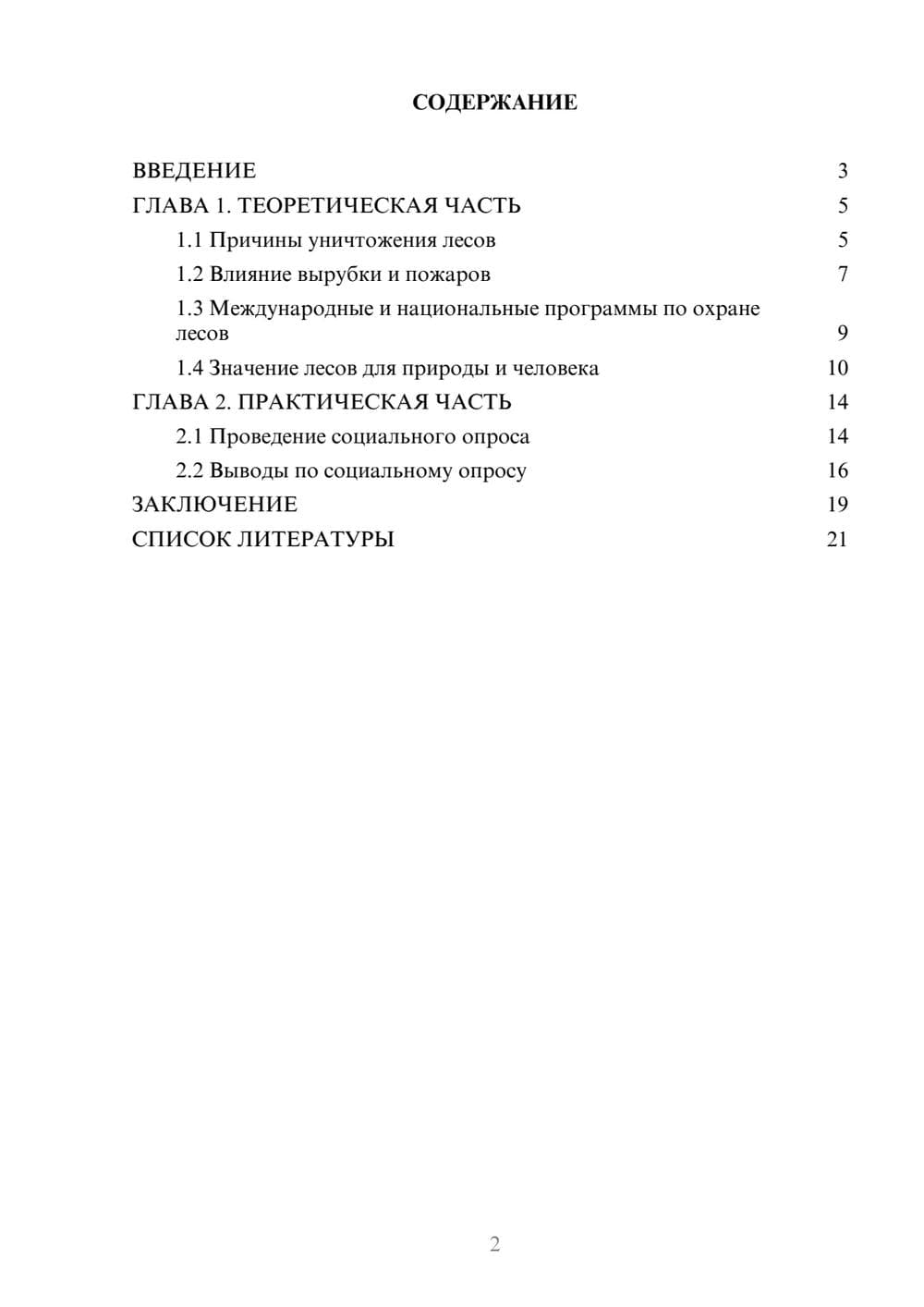 Предпросмотр проекта 2