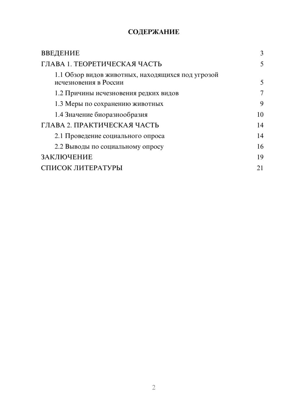 Предпросмотр проекта 2