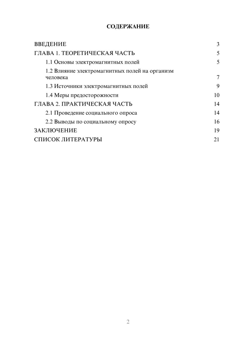 Предпросмотр проекта 2