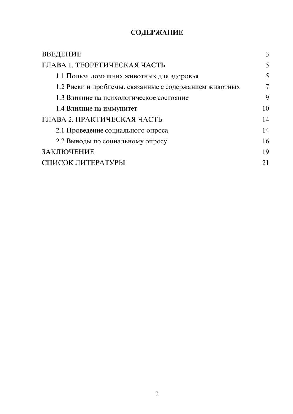 Предпросмотр проекта 2