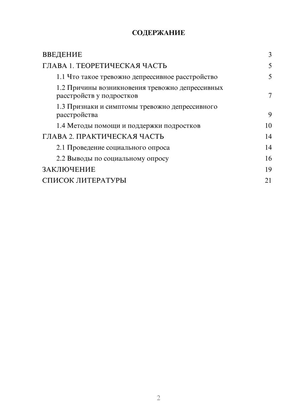 Предпросмотр проекта 2