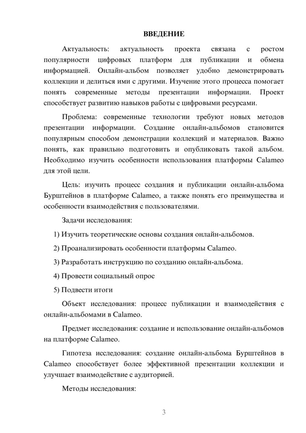 Предпросмотр проекта 3