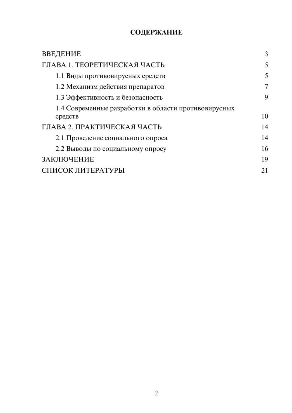 Предпросмотр проекта 2