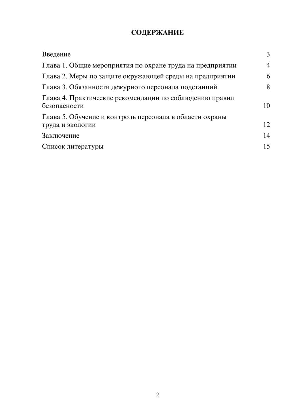 Предпросмотр доклада 2