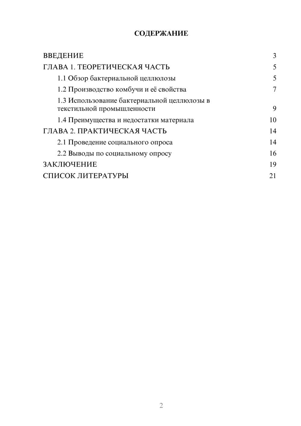 Предпросмотр проекта 2