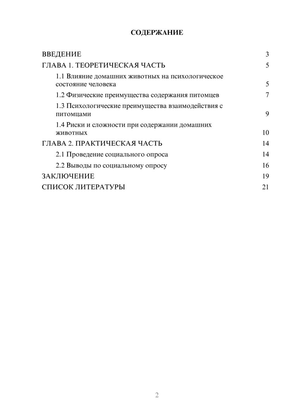 Предпросмотр проекта 2