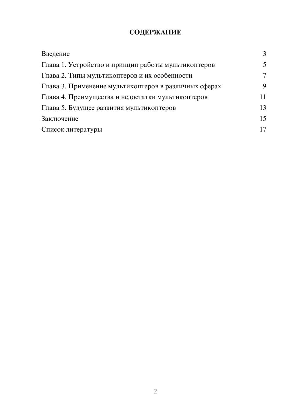 Предпросмотр доклада 2