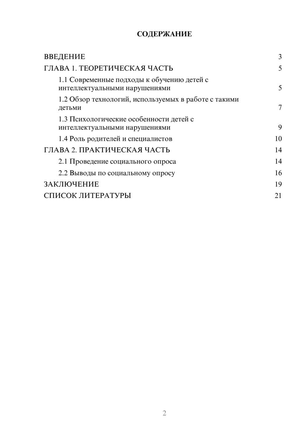 Предпросмотр проекта 2