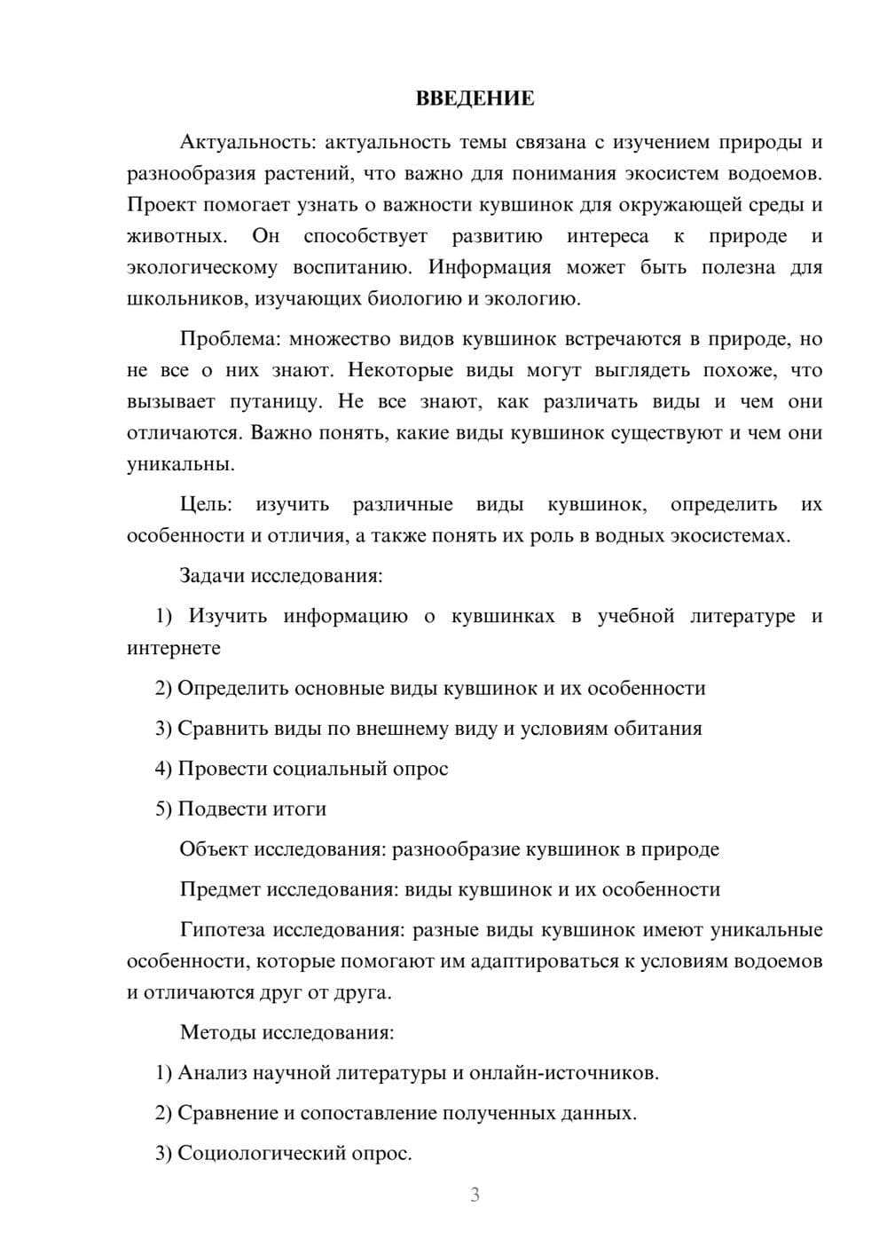 Предпросмотр проекта 3