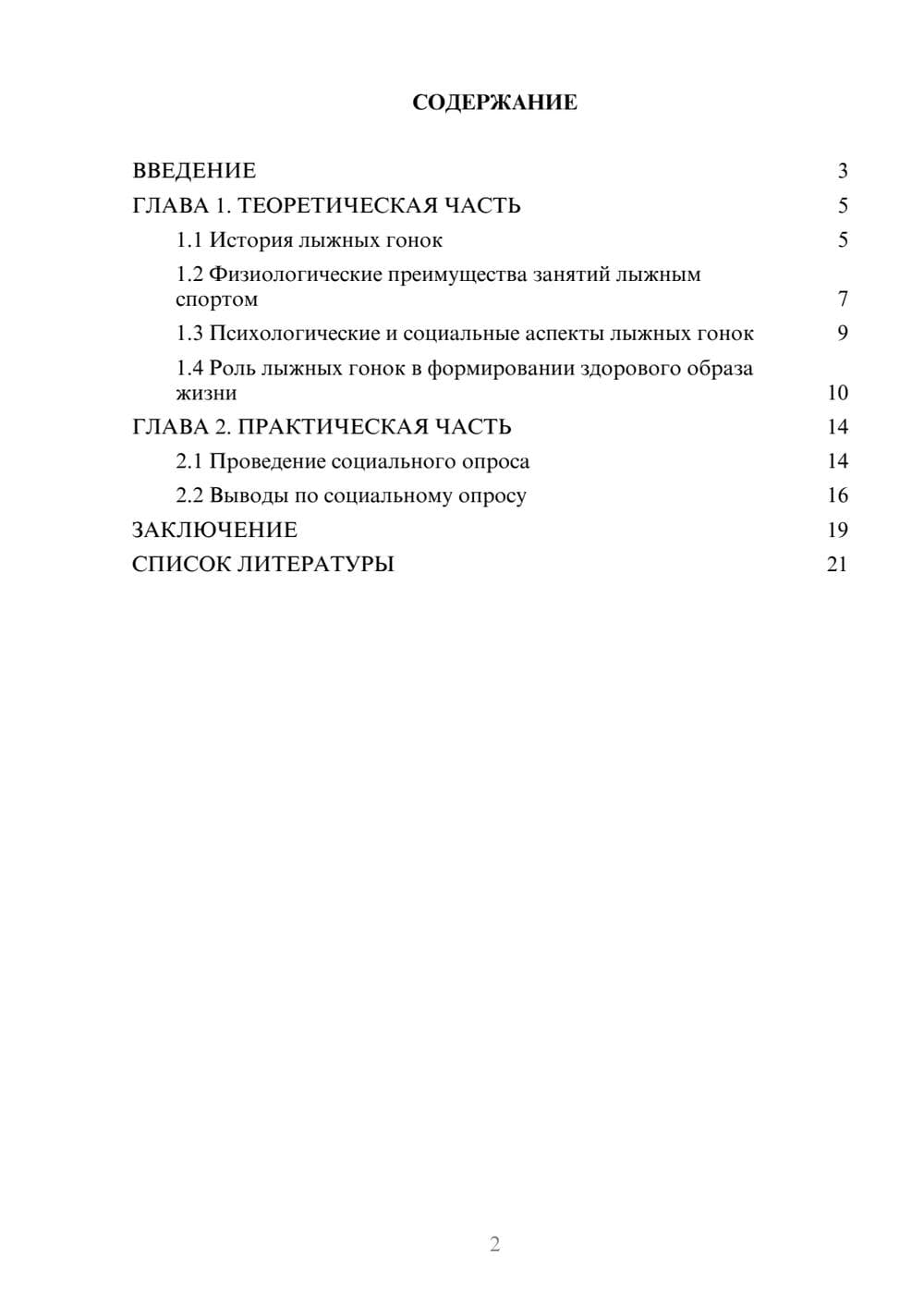 Предпросмотр проекта 2