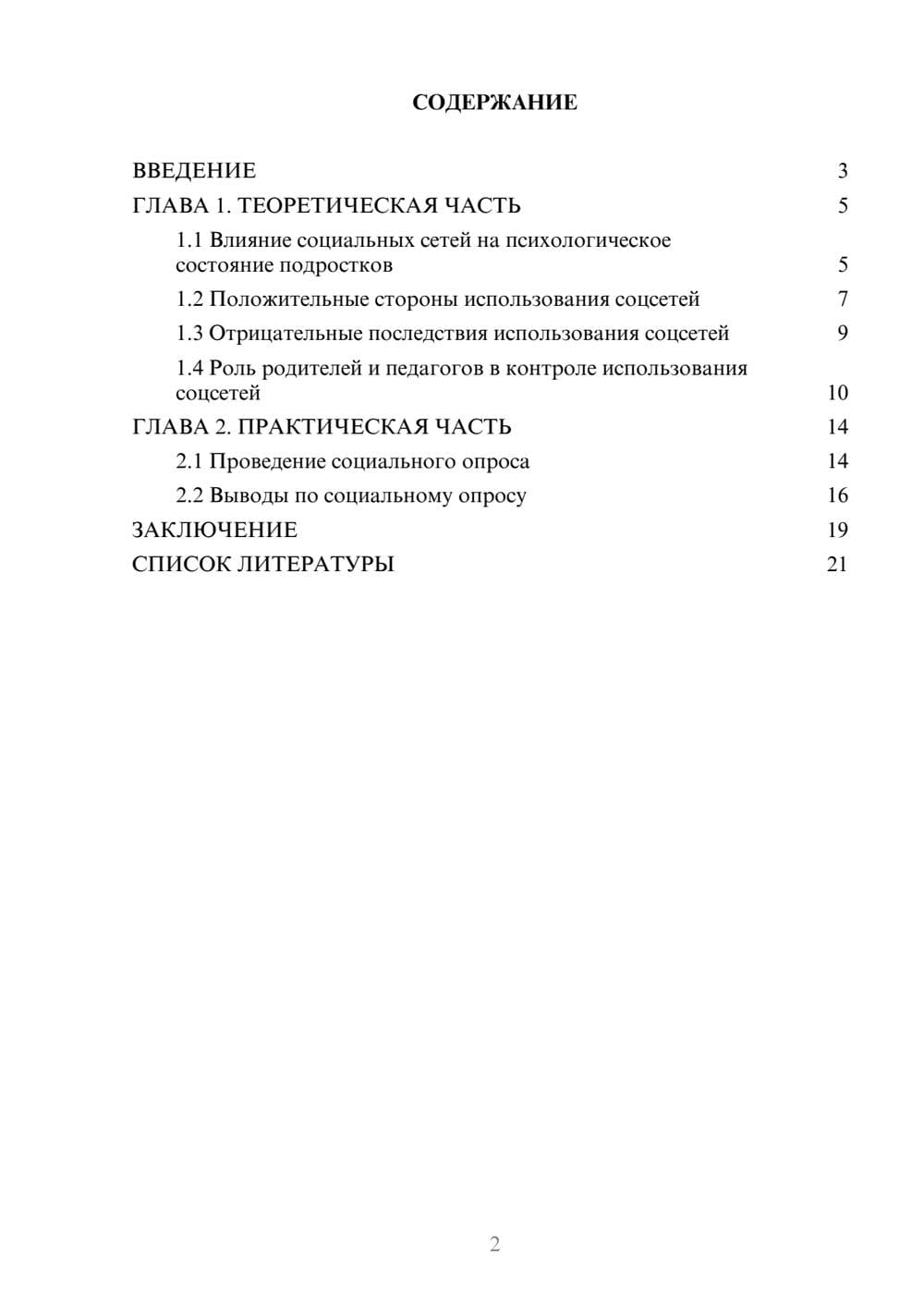 Предпросмотр проекта 2