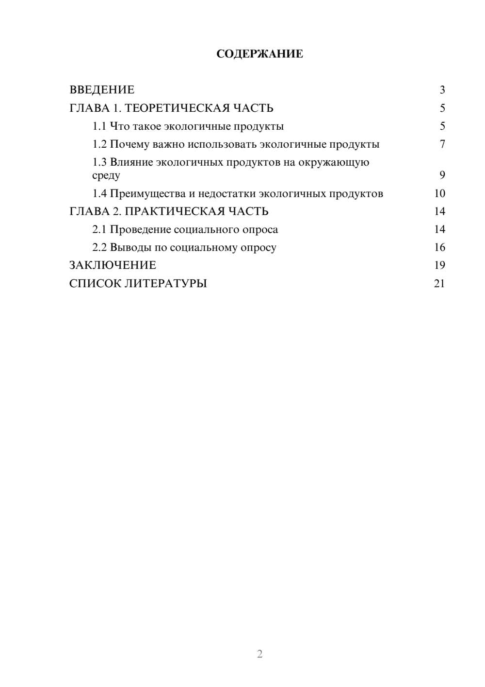 Предпросмотр проекта 2