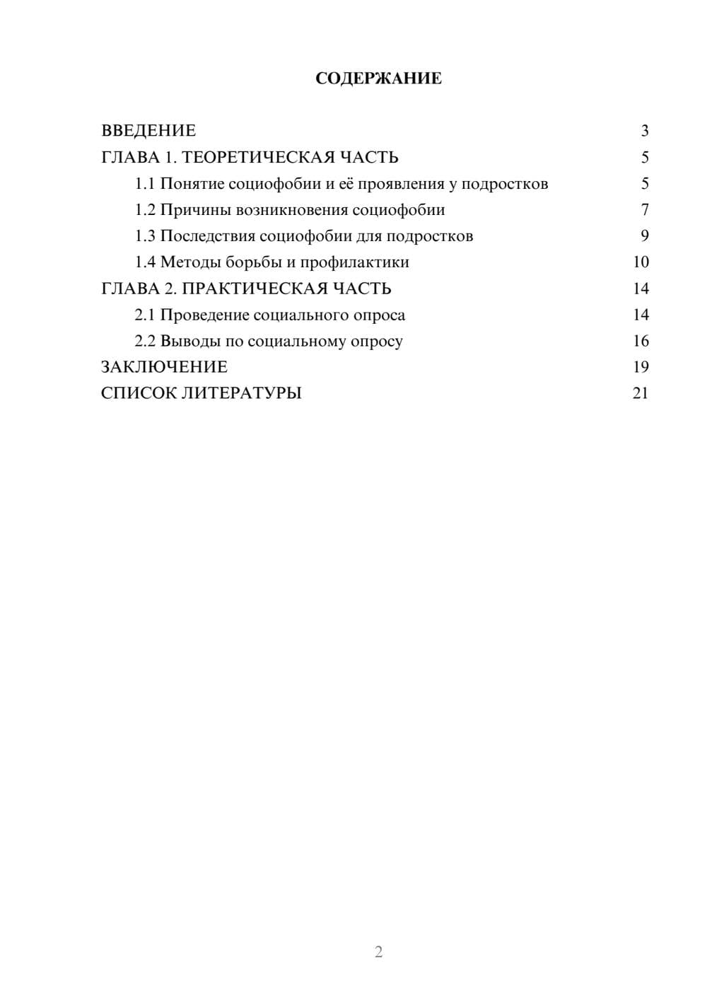Предпросмотр проекта 2