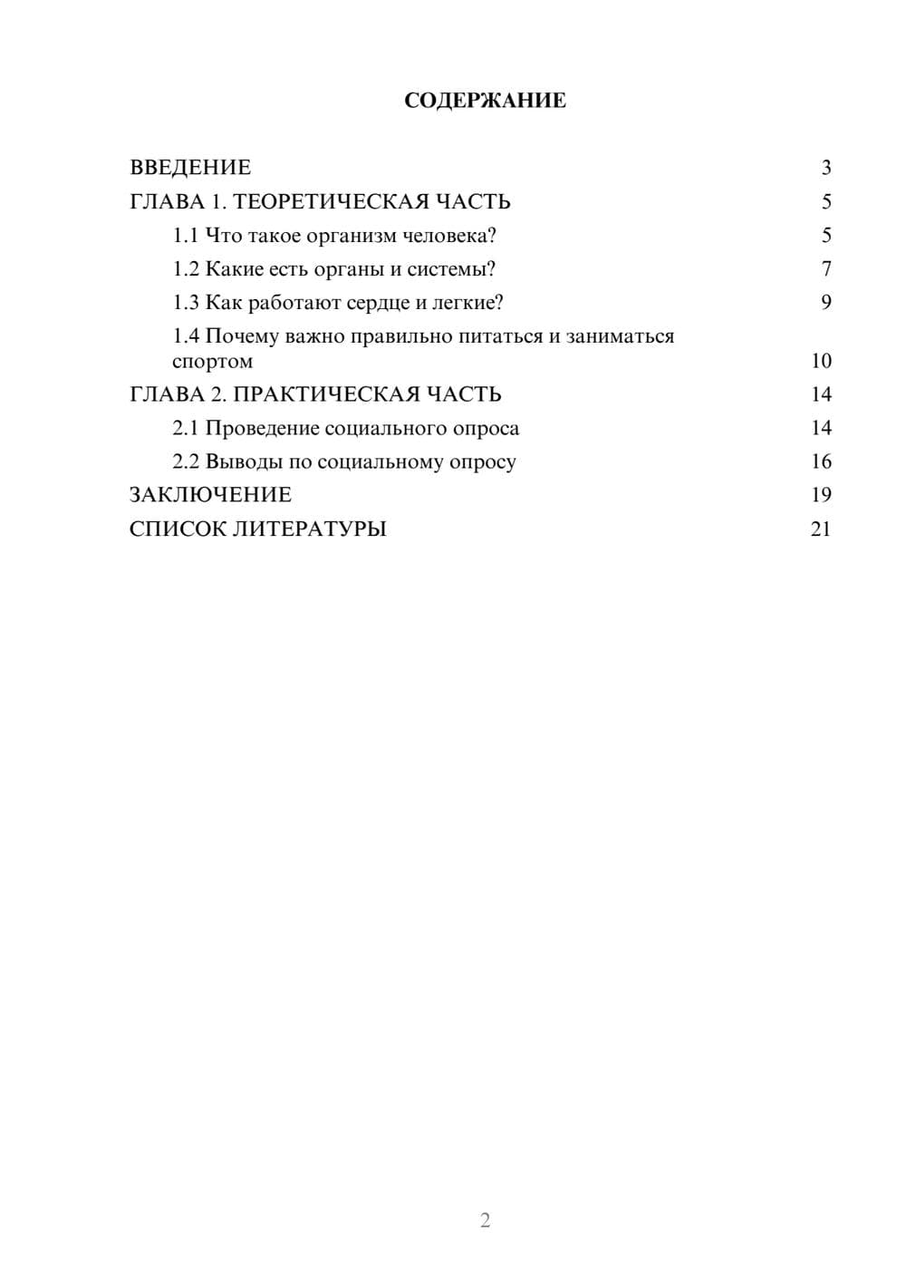 Предпросмотр проекта 2