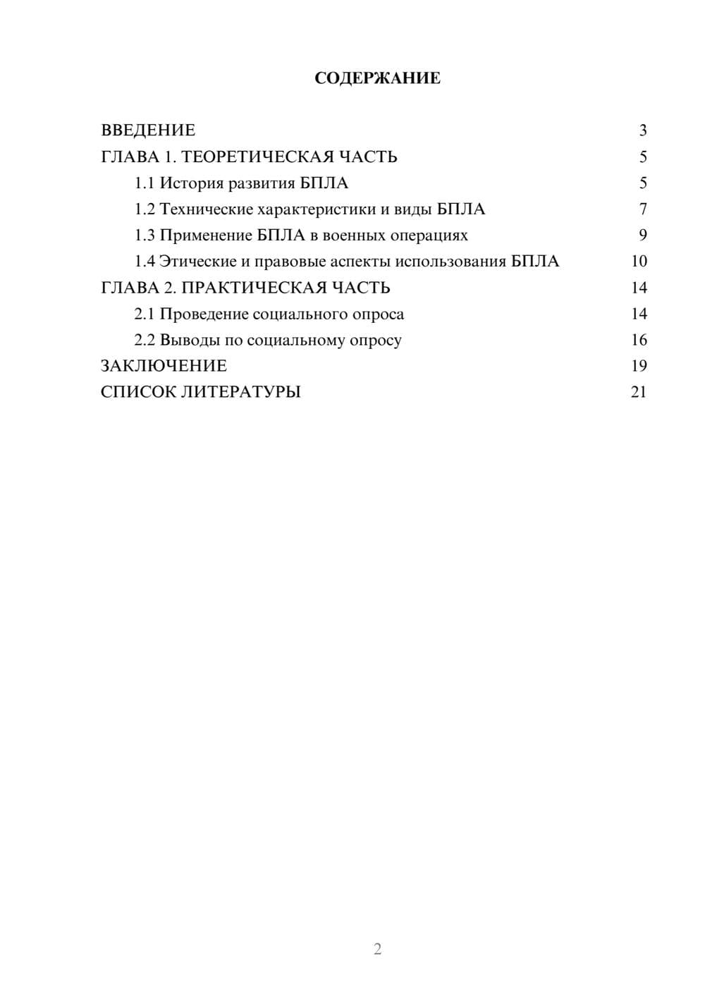 Предпросмотр проекта 2