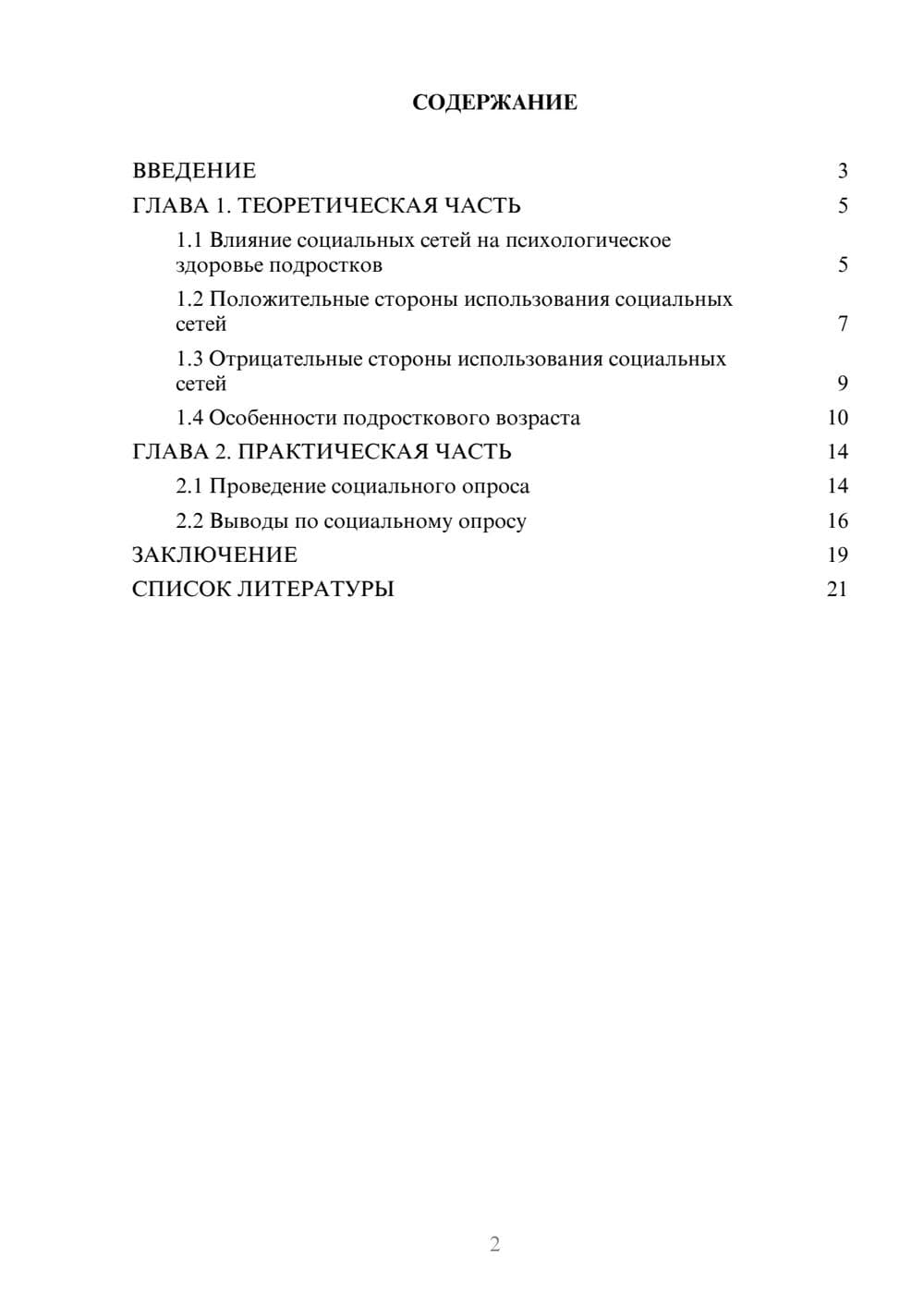 Предпросмотр проекта 2