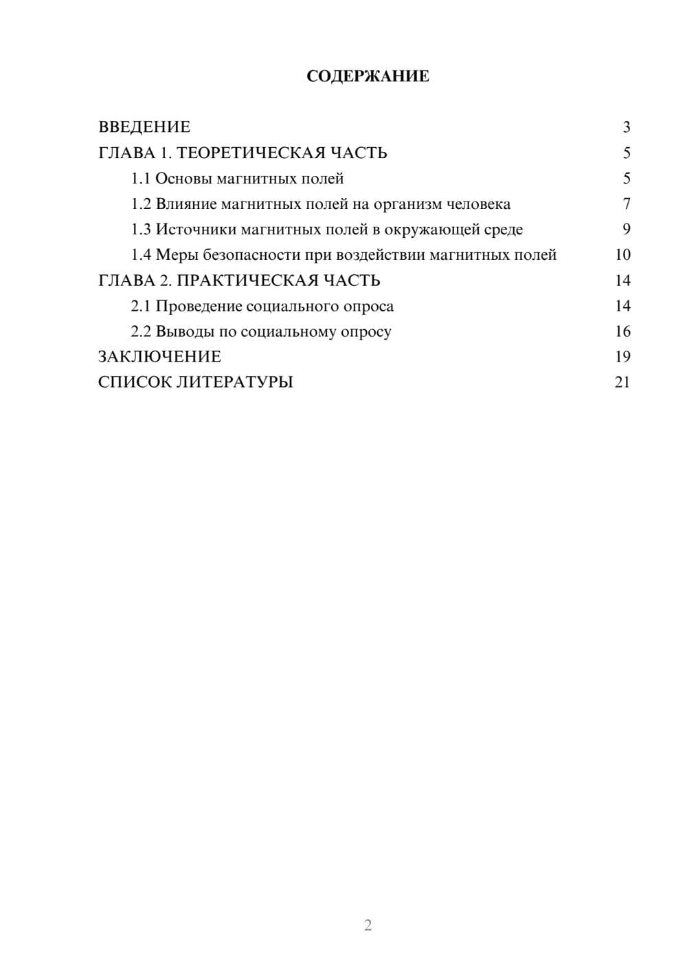 Предпросмотр проекта 2