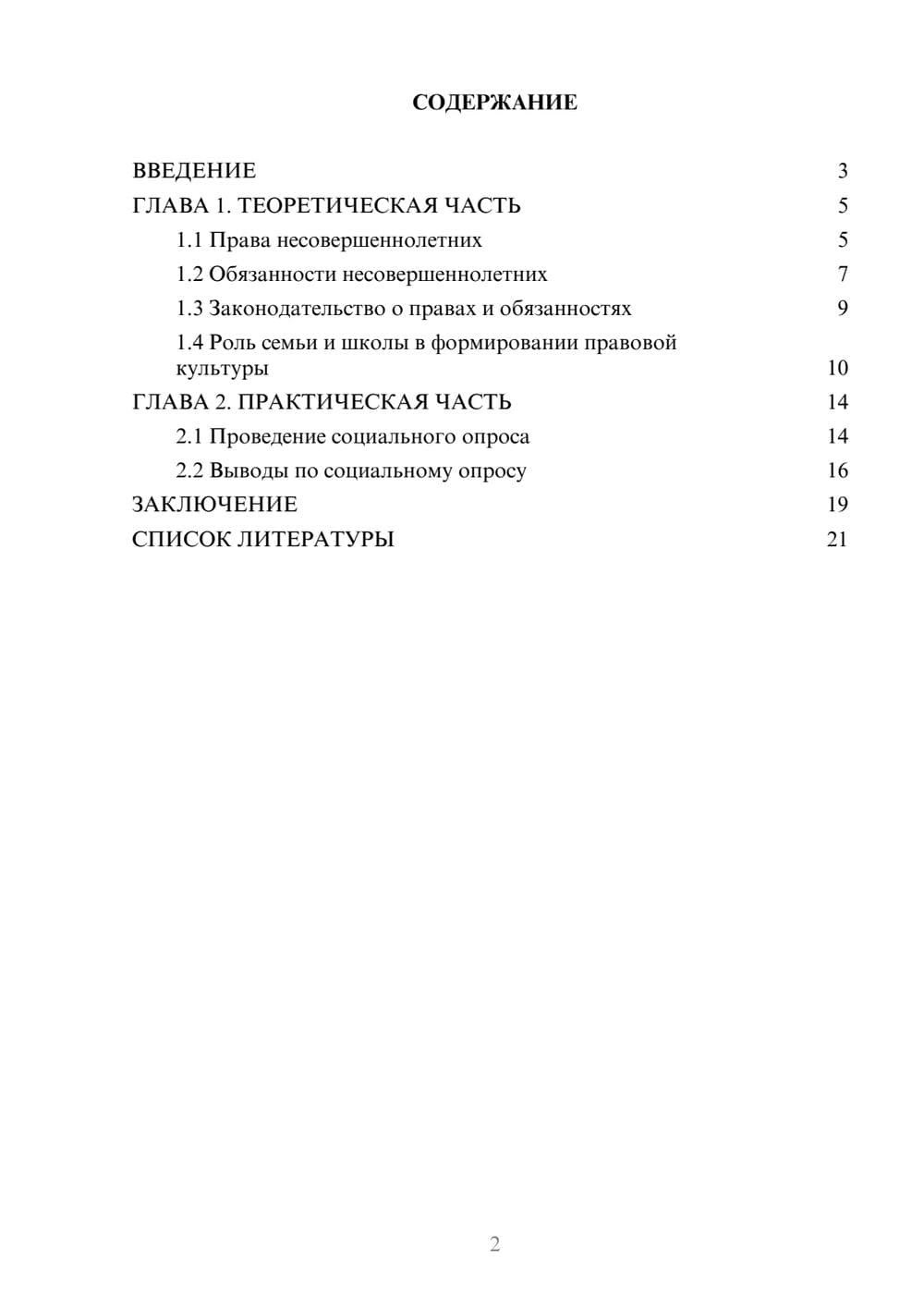 Предпросмотр проекта 2