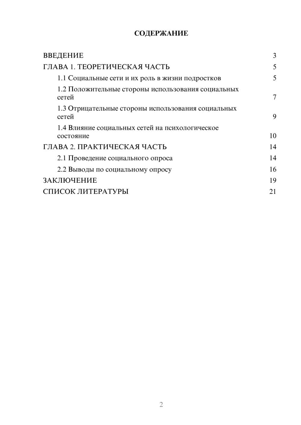 Предпросмотр проекта 2