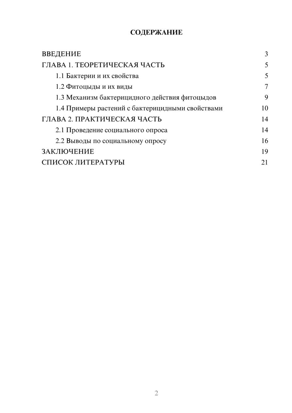 Предпросмотр проекта 2