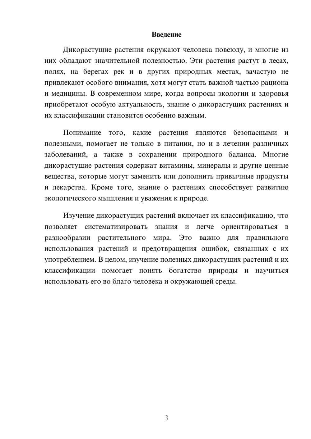 Предпросмотр доклада 3