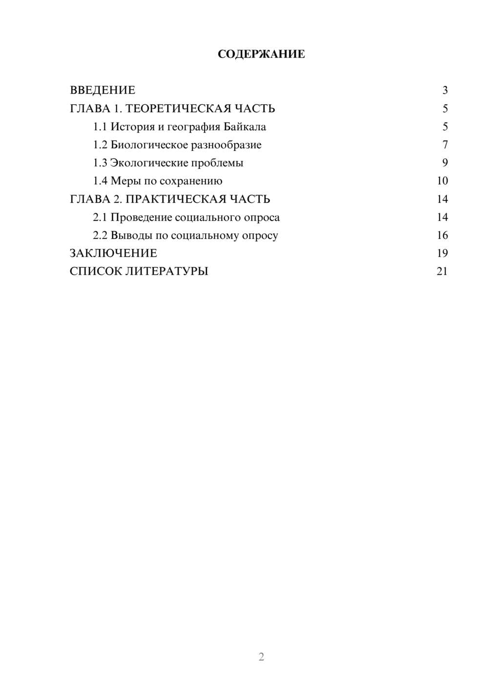 Предпросмотр проекта 2