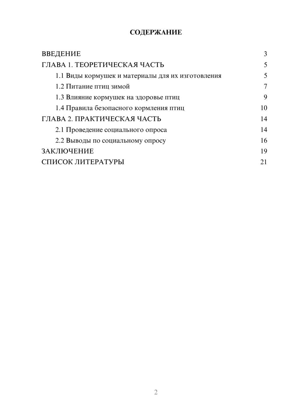 Предпросмотр проекта 2