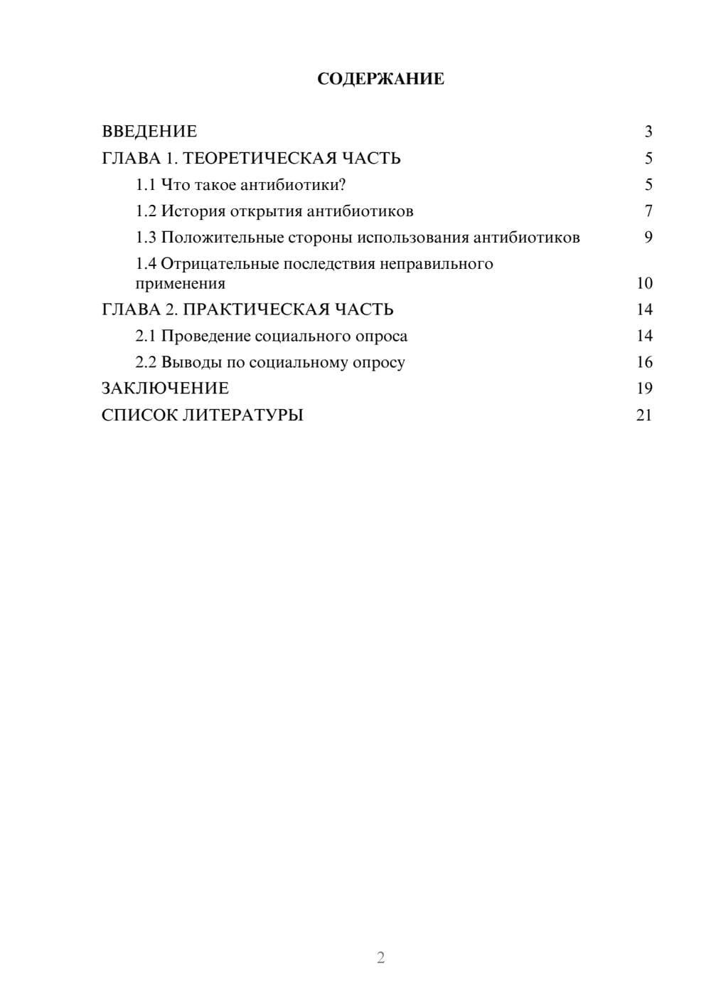 Предпросмотр проекта 2