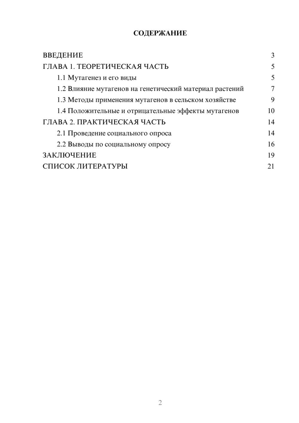Предпросмотр проекта 2