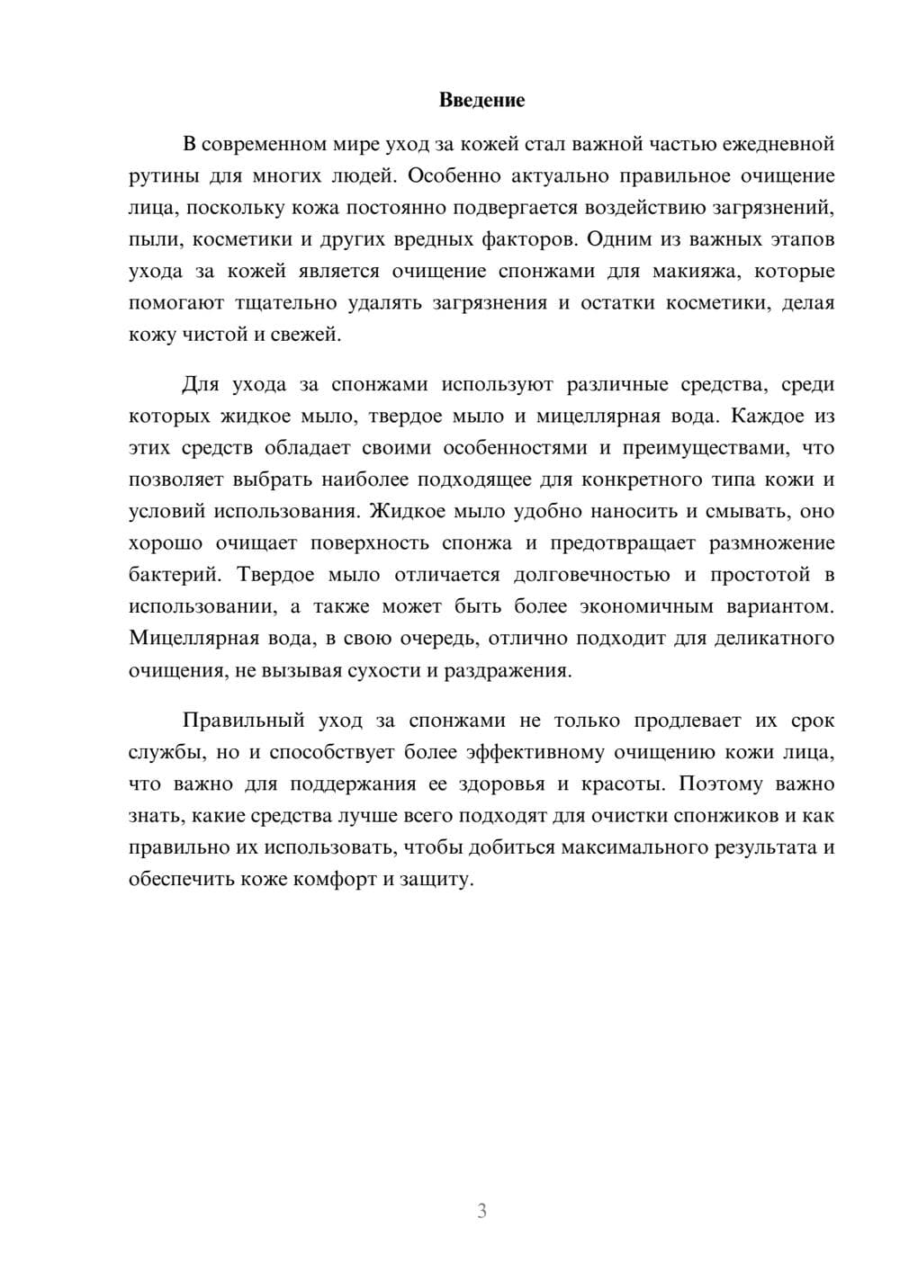 Предпросмотр доклада 3