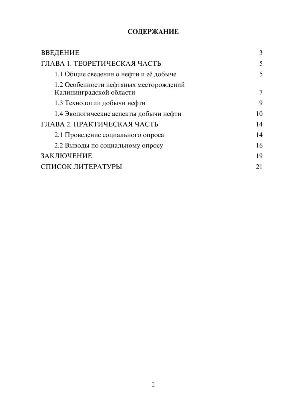 Предпросмотр проекта 2