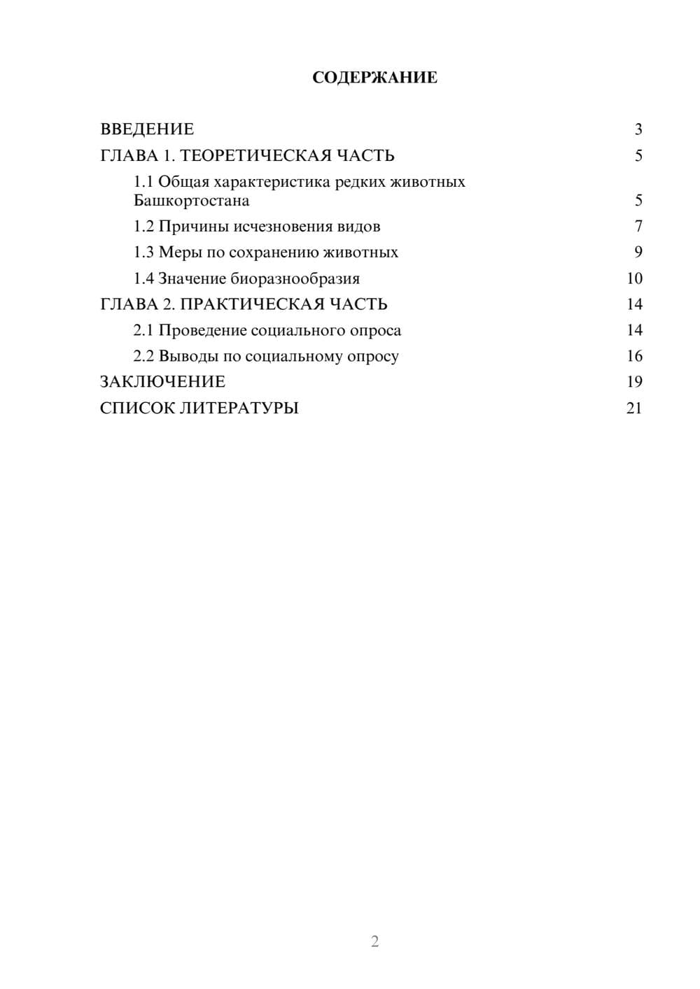 Предпросмотр проекта 2