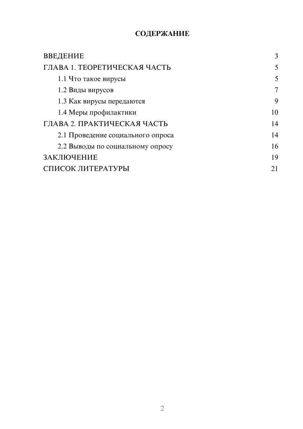 Предпросмотр проекта 2