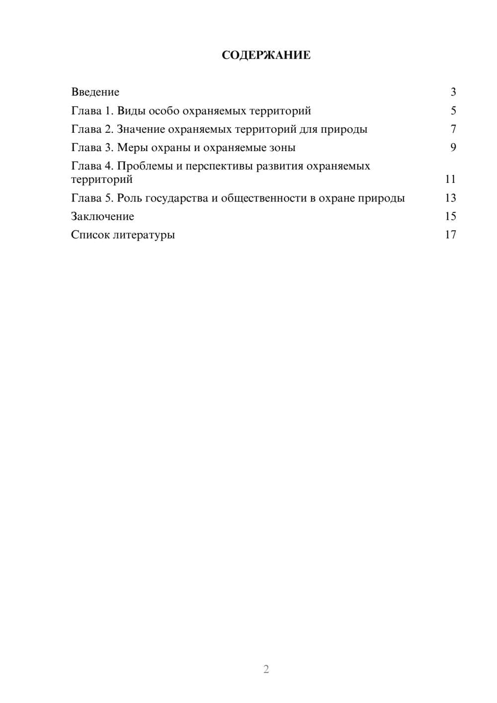 Предпросмотр доклада 2