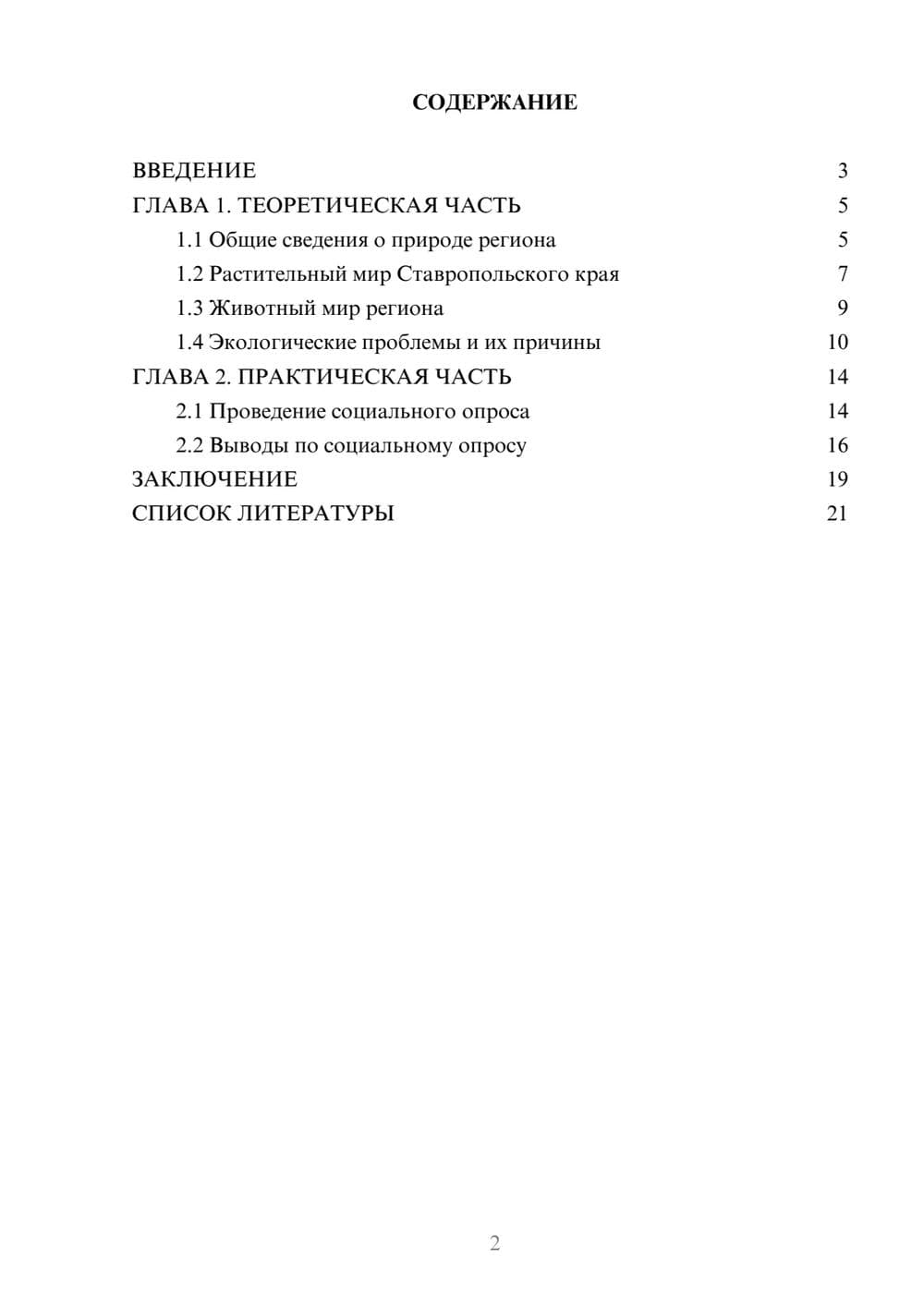 Предпросмотр проекта 2