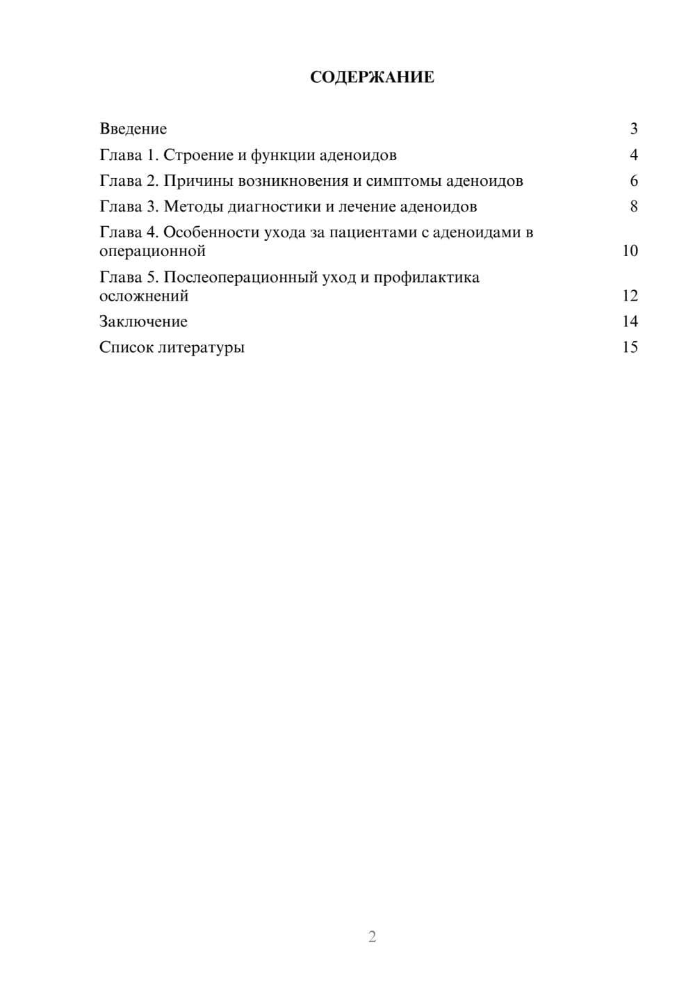 Предпросмотр доклада 2