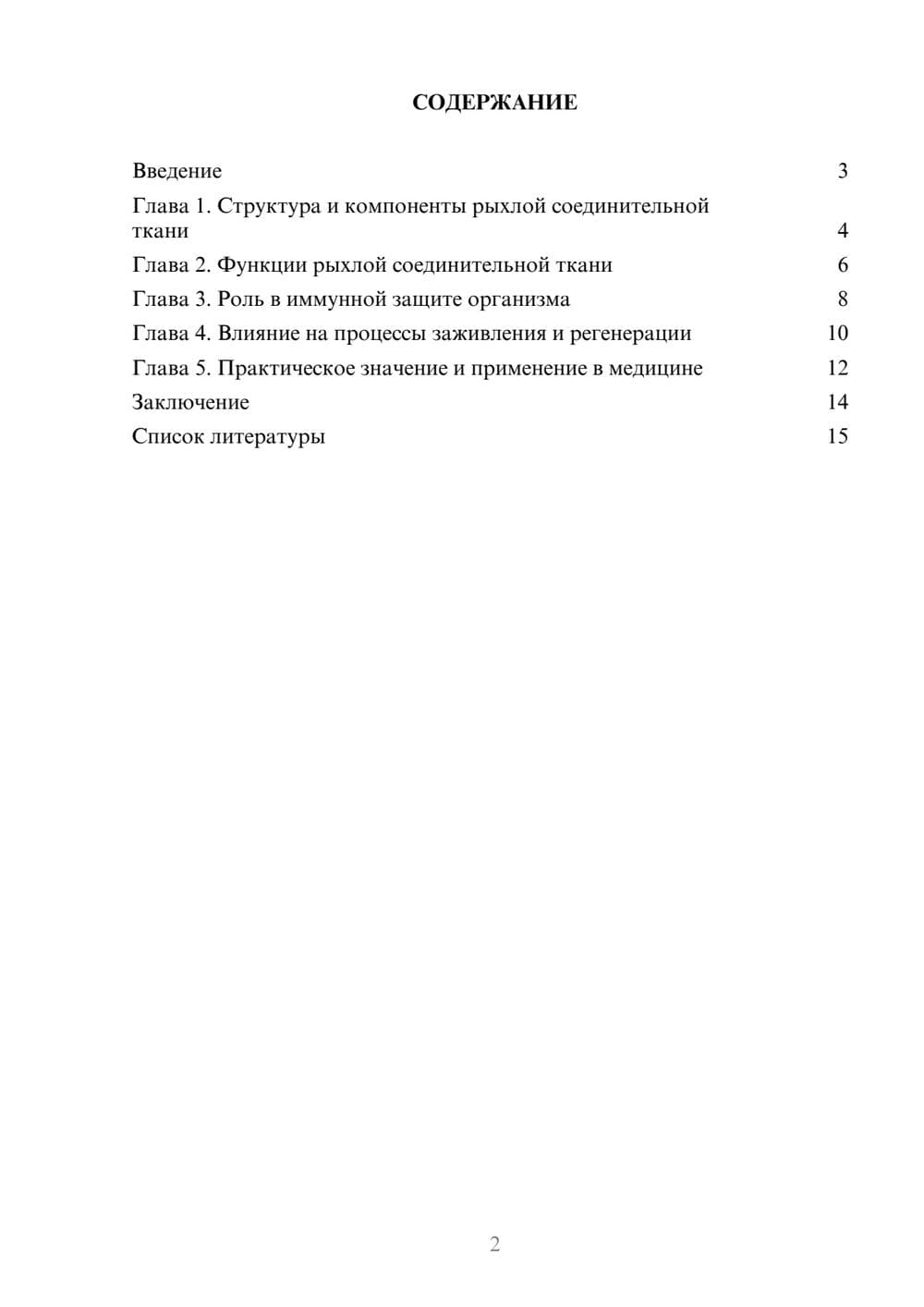 Предпросмотр доклада 2