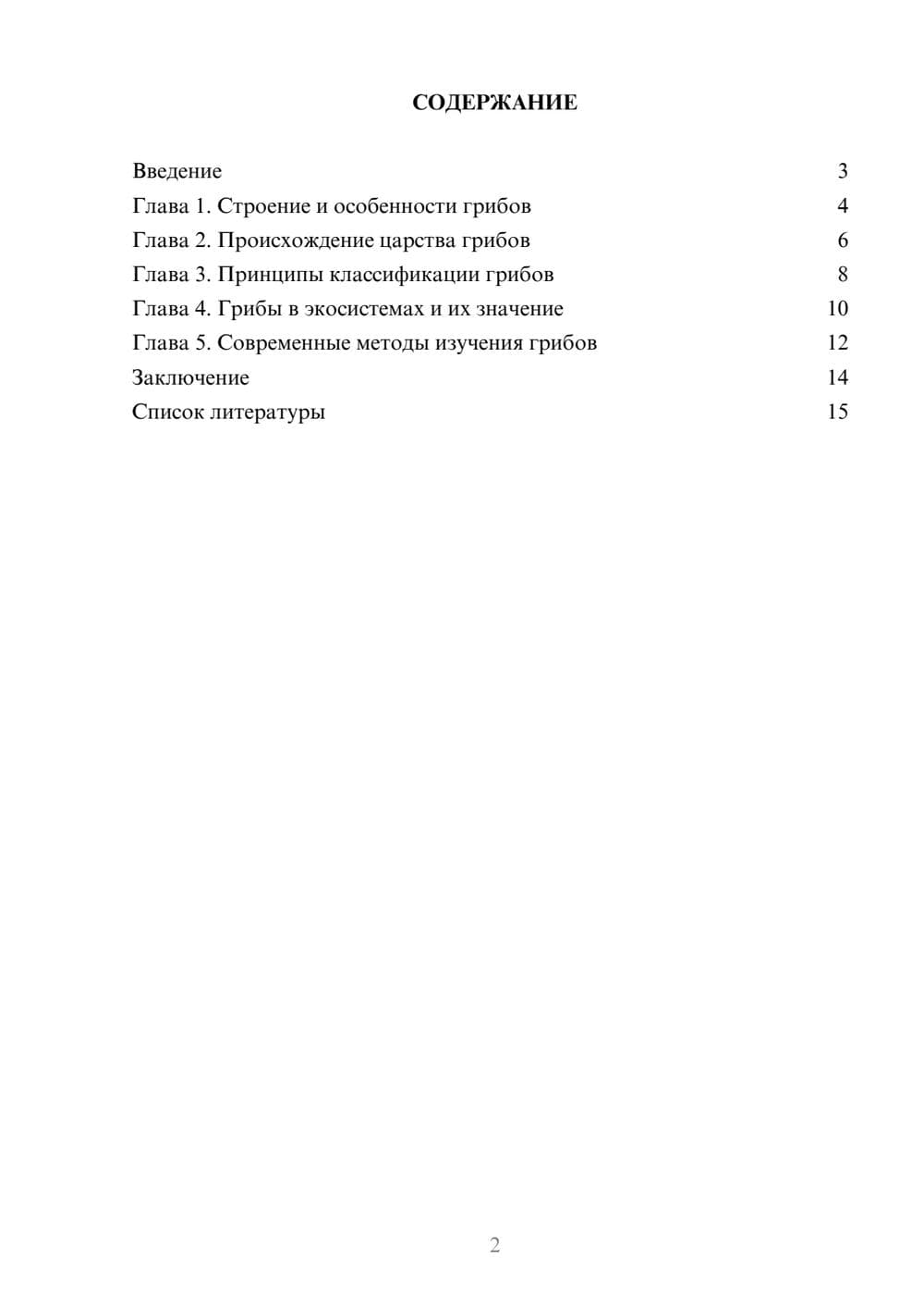 Предпросмотр доклада 2