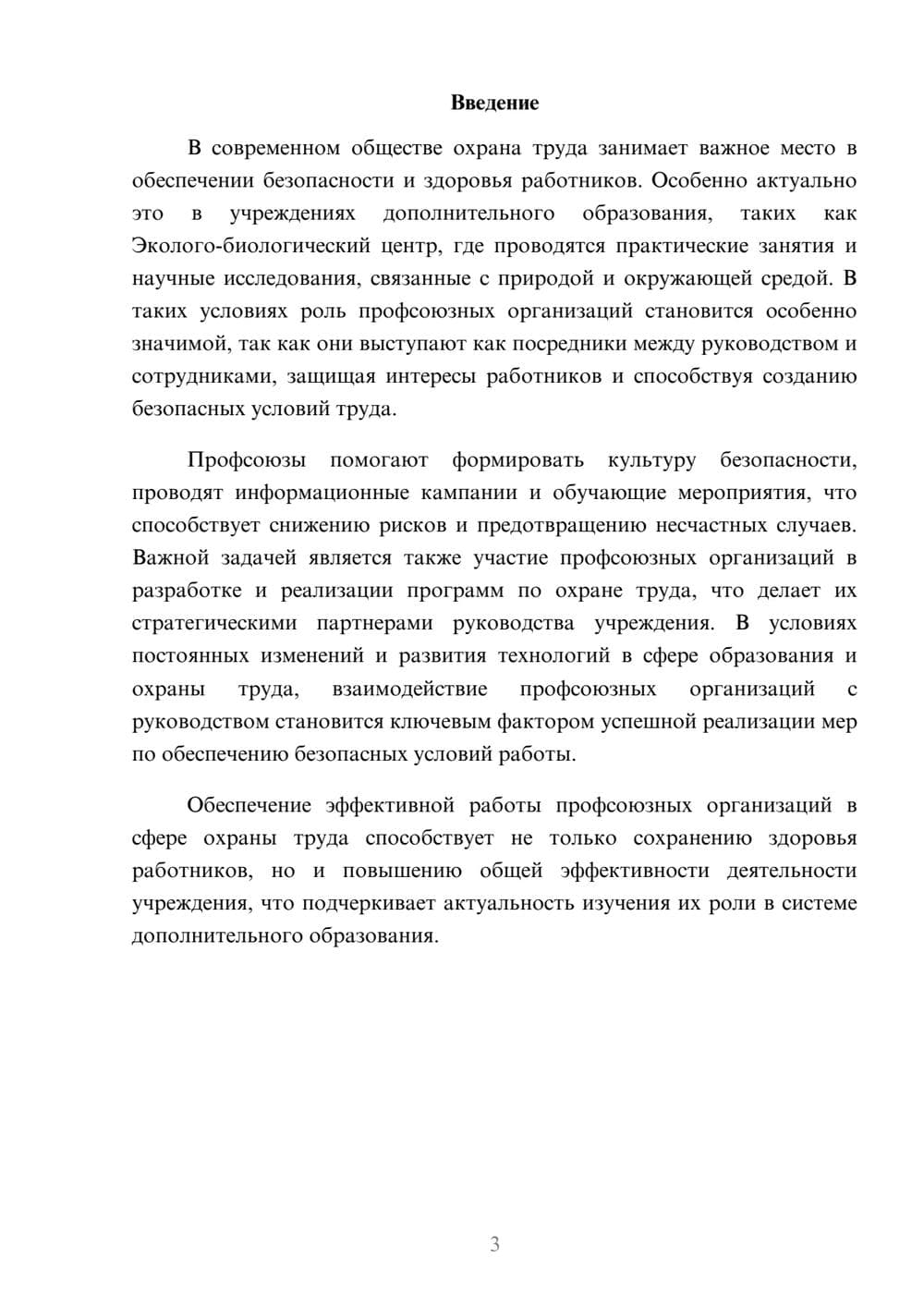 Предпросмотр доклада 3