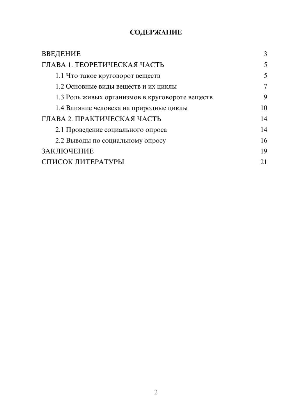 Предпросмотр проекта 2
