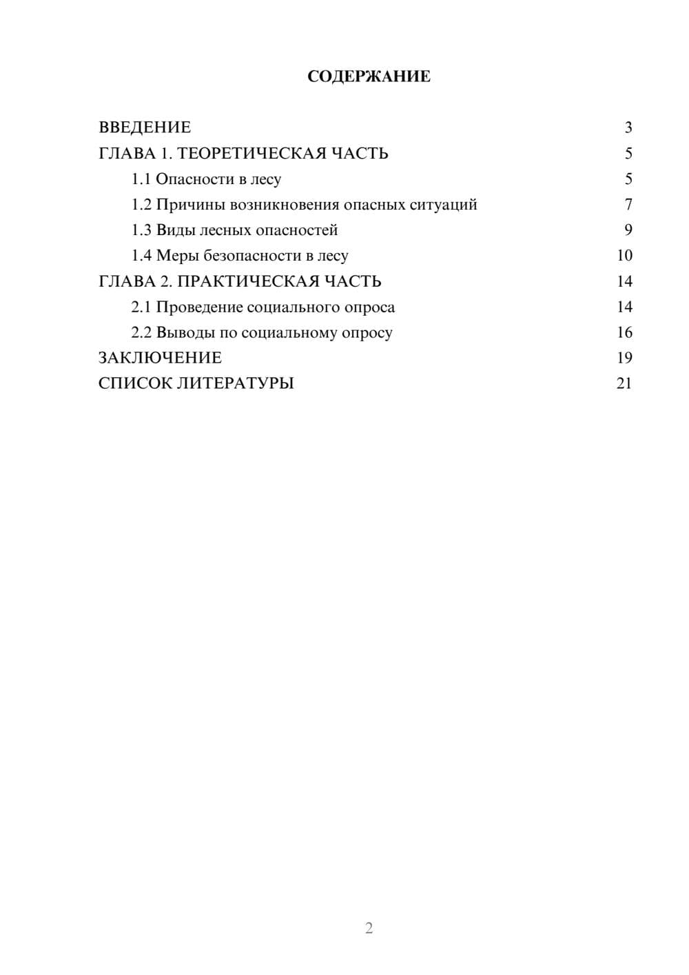 Предпросмотр проекта 2