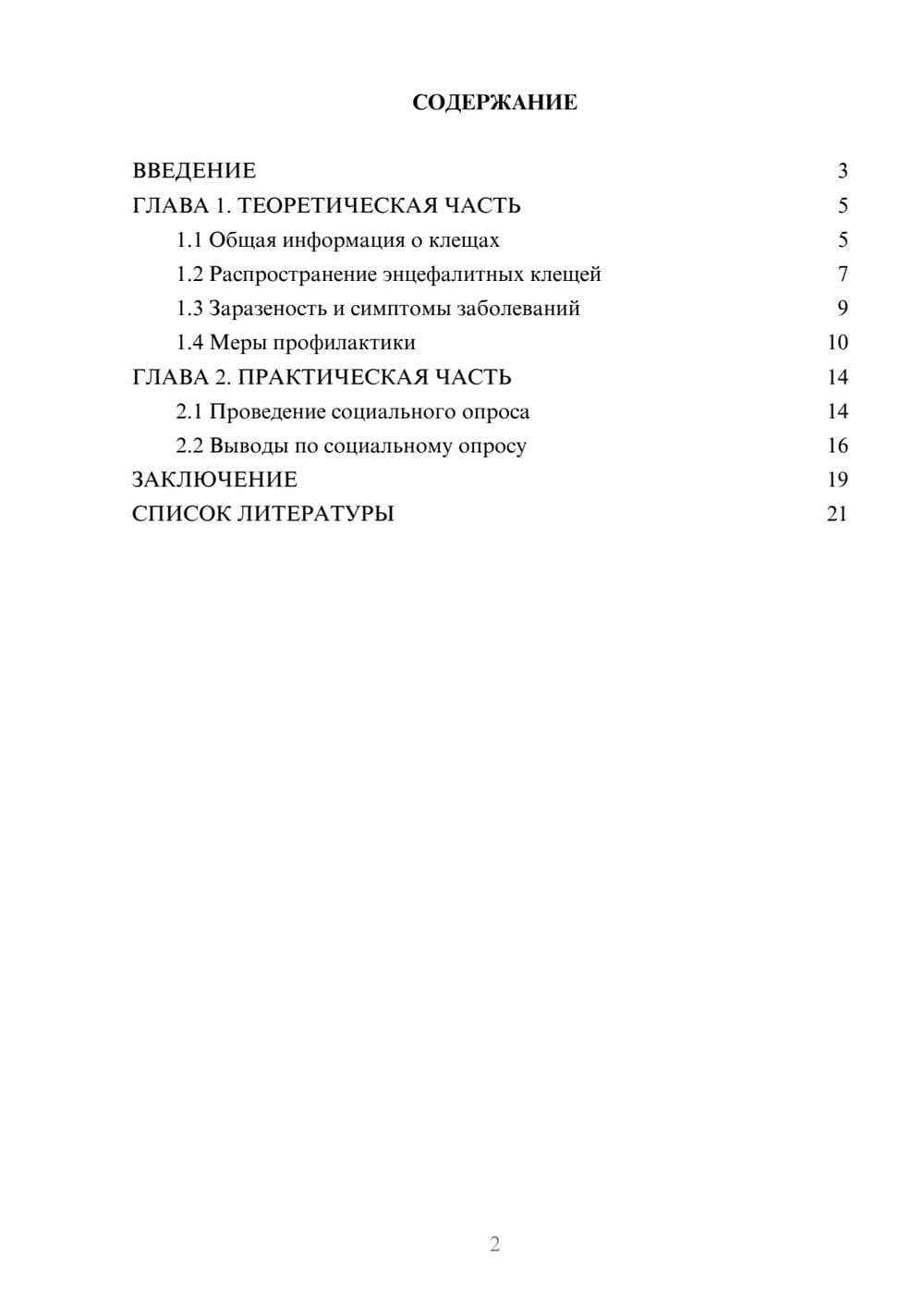 Предпросмотр проекта 2