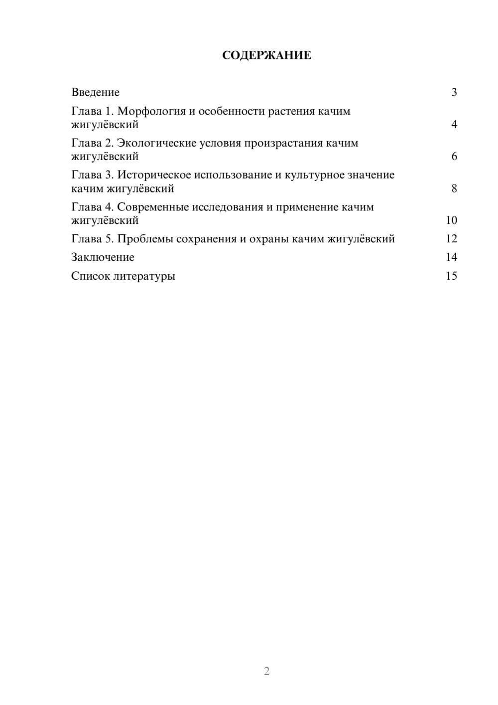 Предпросмотр доклада 2