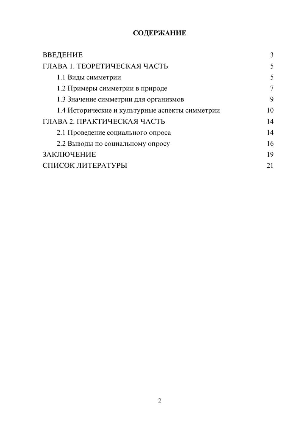 Предпросмотр проекта 2