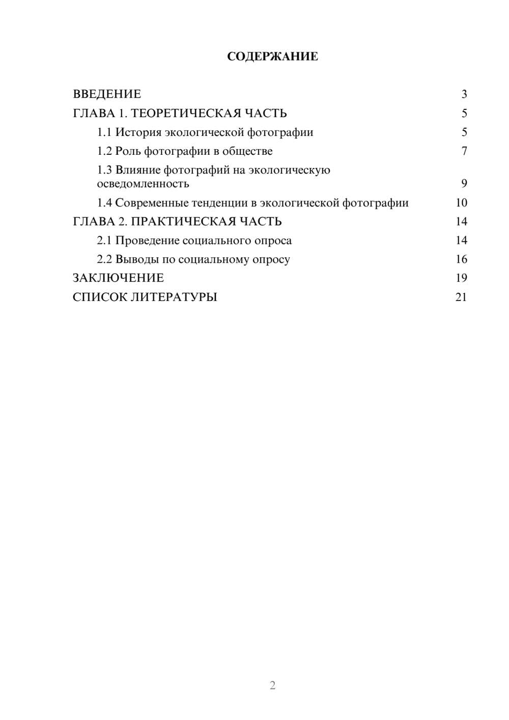 Предпросмотр проекта 2