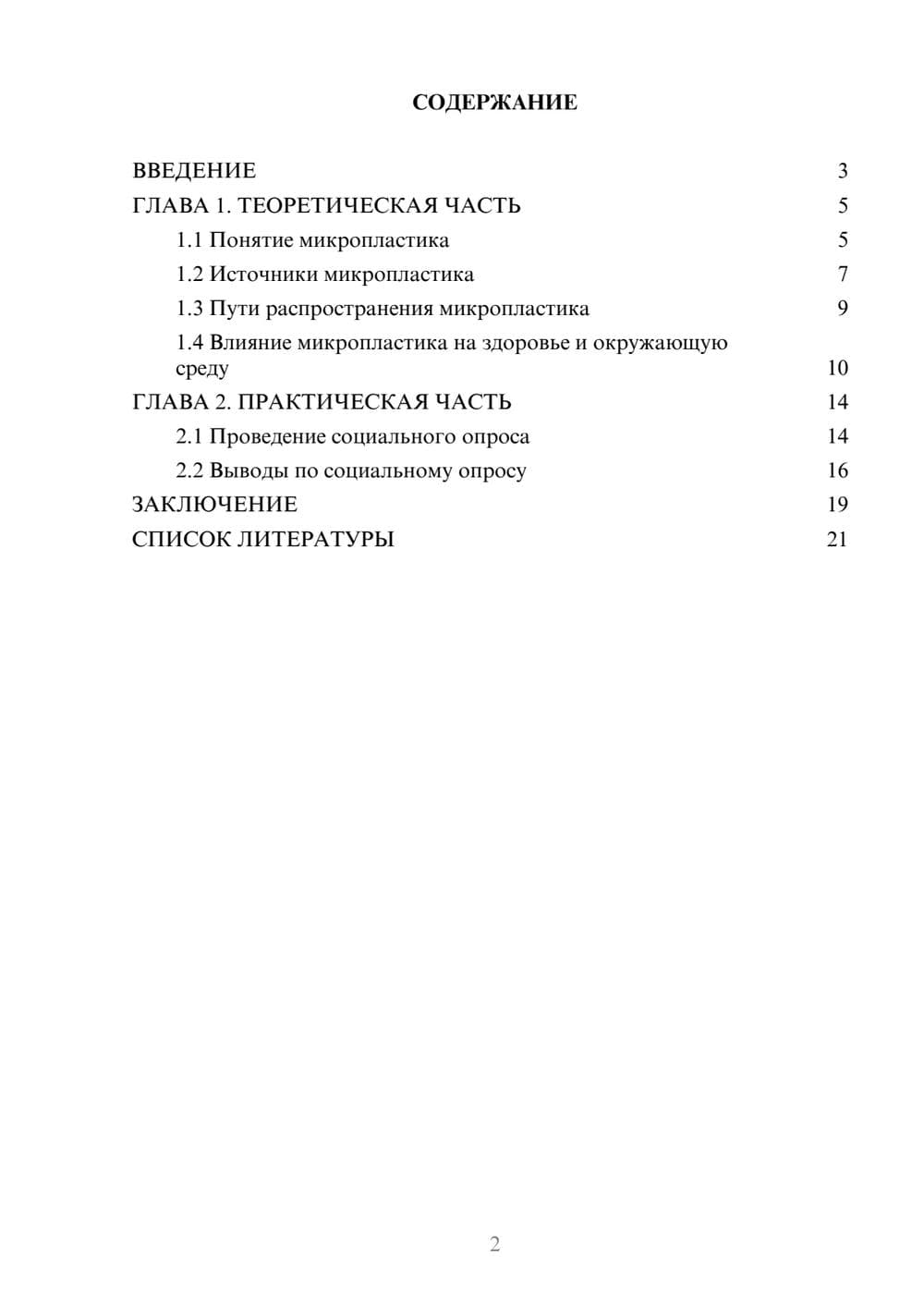 Предпросмотр проекта 2