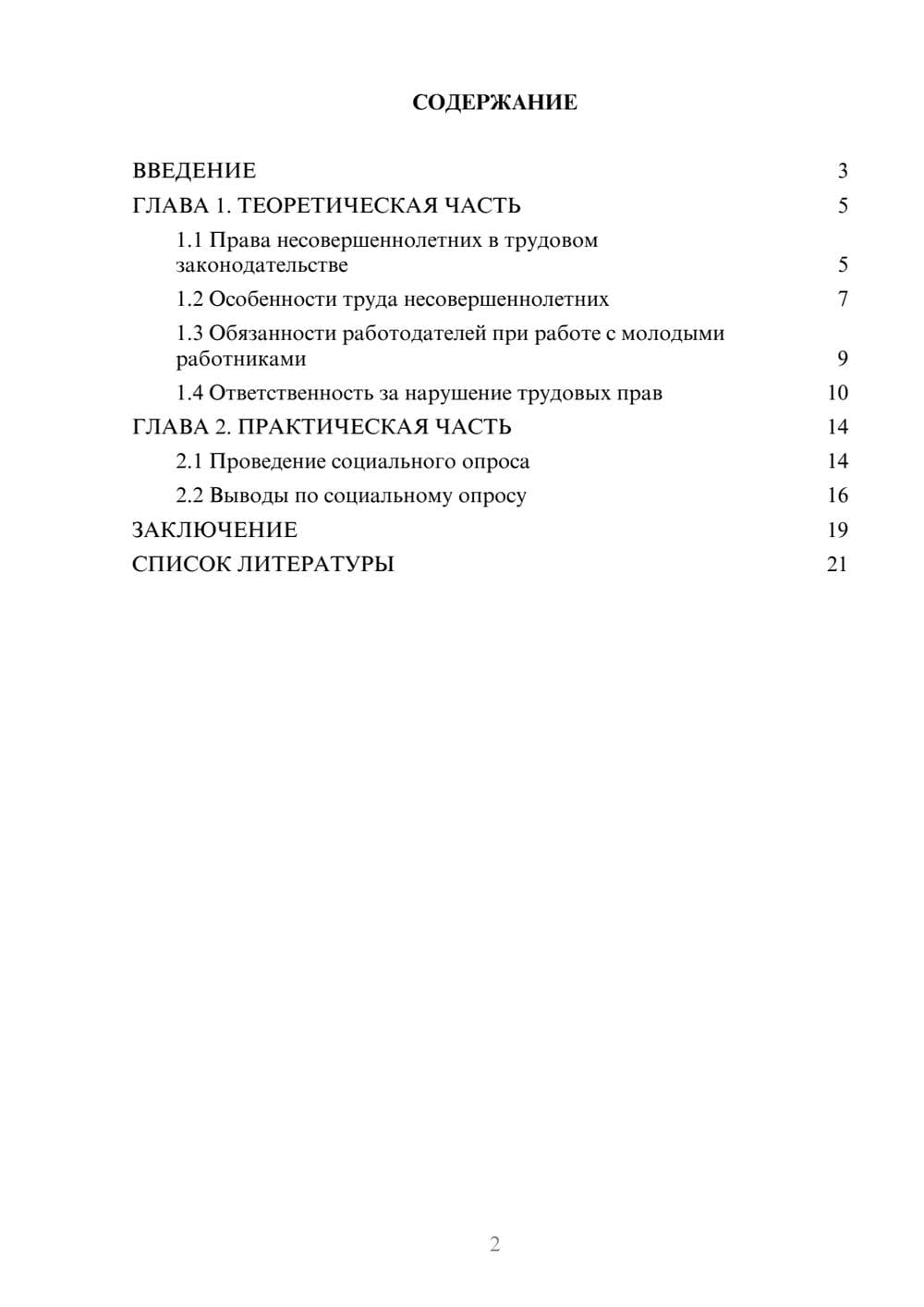 Предпросмотр проекта 2